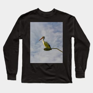 Pelican on a Light! Long Sleeve T-Shirt